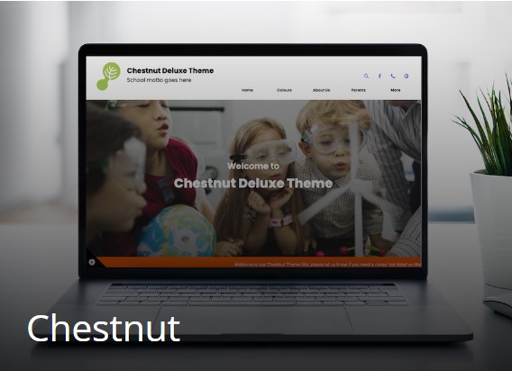 chestnut-school-website-template